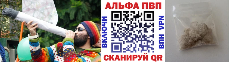 A-PVP СК КРИС  Волгоград 