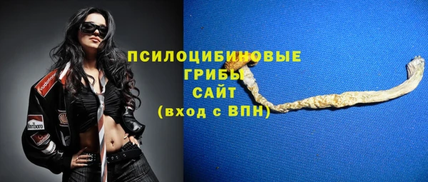 спиды Аркадак