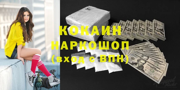 прущие грибы Алзамай